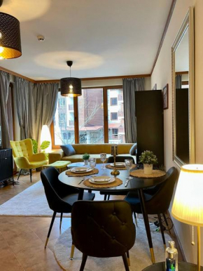 Wonderful ski resort apartment Bansko